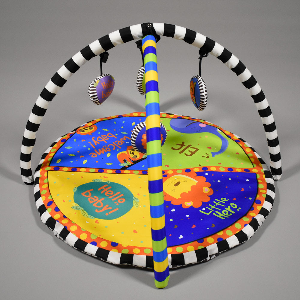 Baby Playgym - Multi Colour